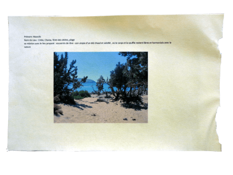 Export Wizard-Manolis